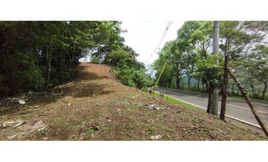 CERRO AZUL / TERRENO / 7 HECTAREAS / VISTA A LA CIUDAD Y MAR