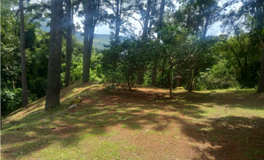 TERRENO / ALTOS DEL MARIA / VALLE EL ENCANTO / 3333M / PLANO