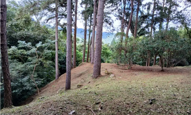 TERRENO / ALTOS DEL MARIA / VALLE EL ENCANTO / 3333M / PLANO