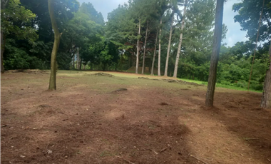 TERRENO / ALTOS DEL MARIA / VALLE EL ENCANTO / 3333M / PLANO