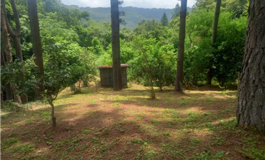 TERRENO / ALTOS DEL MARIA / VALLE EL ENCANTO / 3333M / PLANO