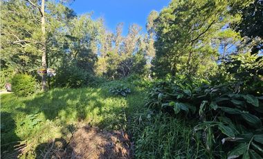 lote a la venta en el bosque p. ramos