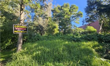 lote a la venta en el bosque p. ramos