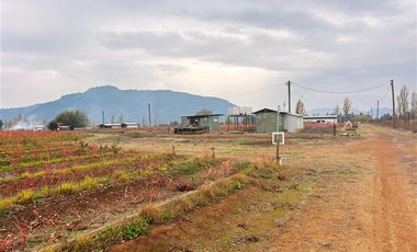 Agrícola en Venta en San Clemente