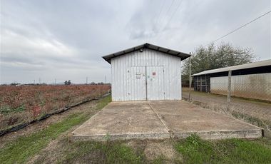 Agrícola en Venta en San Clemente