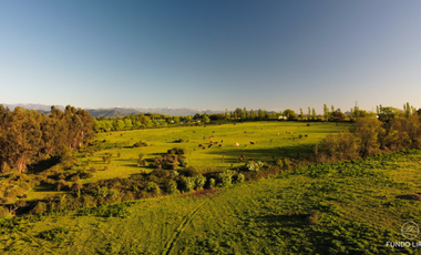 Agrícola en Venta en PARCELA 38 SANTA ISABEL Lt 26