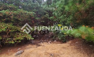 Sitio en Venta en La Palmilla, Chepica