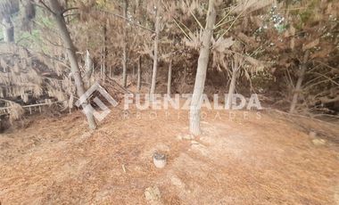 Sitio en Venta en La Palmilla, Chepica