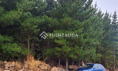 Sitio en Venta en La Palmilla, Chepica