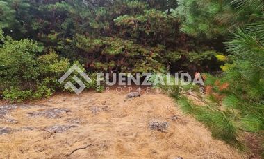 Sitio en Venta en La Palmilla, Chepica