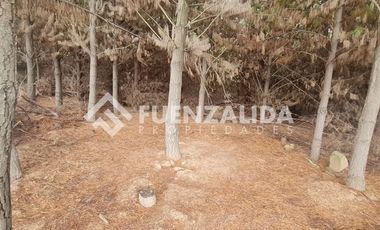 Sitio en Venta en La Palmilla, Chepica