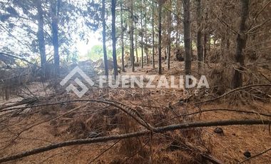 Sitio en Venta en La Palmilla, Chepica