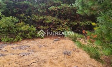 Sitio en Venta en La Palmilla, Chepica