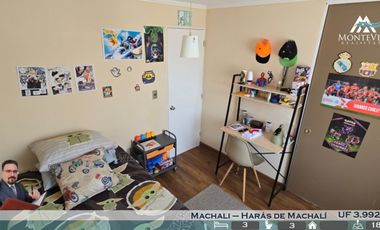 HARAS DE MACHALI