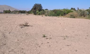 VENTAS PARCELAS FUNDO 2 HERMANAS COPIAPO