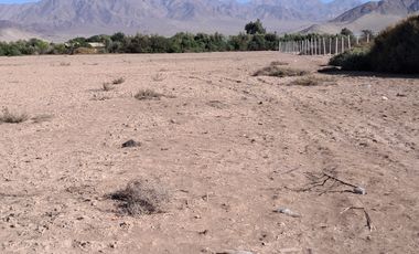 VENTAS PARCELAS FUNDO 2 HERMANAS COPIAPO