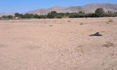 VENTAS PARCELAS FUNDO 2 HERMANAS COPIAPO