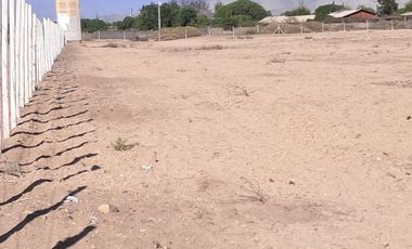 VENTAS PARCELAS FUNDO 2 HERMANAS COPIAPO