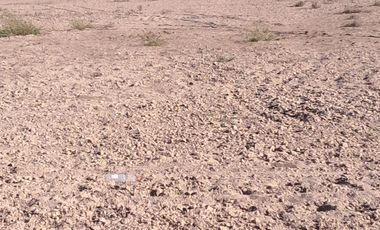 VENTAS PARCELAS FUNDO 2 HERMANAS COPIAPO