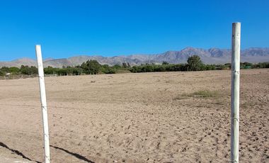 VENTAS PARCELAS FUNDO 2 HERMANAS COPIAPO