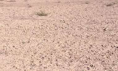 VENTAS PARCELAS FUNDO 2 HERMANAS COPIAPO