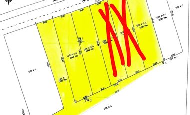 VENTAS PARCELAS FUNDO 2 HERMANAS COPIAPO