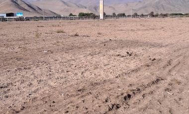 VENTAS PARCELAS FUNDO 2 HERMANAS COPIAPO