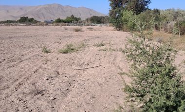 VENTAS PARCELAS FUNDO 2 HERMANAS COPIAPO