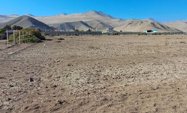 VENTAS PARCELAS FUNDO 2 HERMANAS COPIAPO