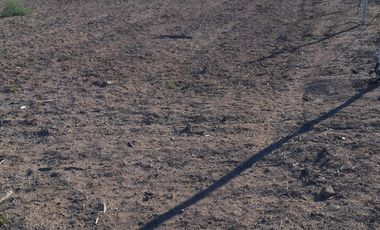 VENTAS PARCELAS FUNDO 2 HERMANAS COPIAPO