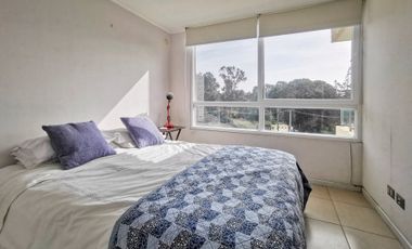 ARRIENDO AMOBLADO LOMAS DE PAPUDO 4 PERSONAS 2D 1B