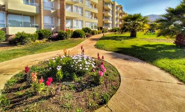 ARRIENDO AMOBLADO LOMAS DE PAPUDO 4 PERSONAS 2D 1B