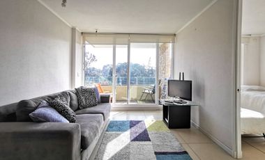 ARRIENDO AMOBLADO LOMAS DE PAPUDO 4 PERSONAS 2D 1B