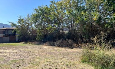 Encantadora Casa con Gran Jardín y Piscina en Peñaflor
