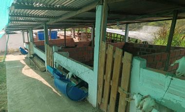 VENTA de FINCAS en BUCARAMANGA