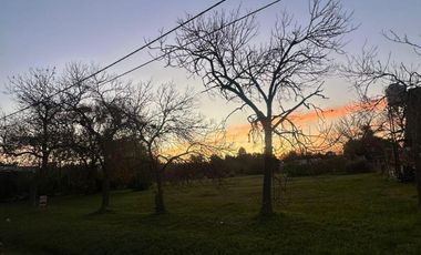 Terreno en venta - 2.347Mts2 - Guernica