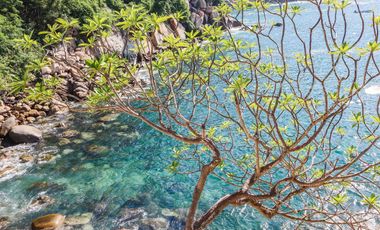 Lotes en Venta Sirena del Marques Acapulco