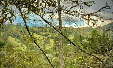Vende Casa Campestre Parcelacion Alto Palmas El Retiro