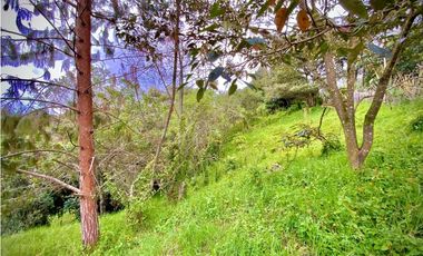 Vende Casa Campestre Parcelacion Alto Palmas El Retiro
