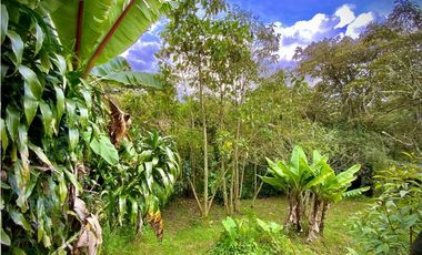 Vende Casa Campestre Parcelacion Alto Palmas El Retiro