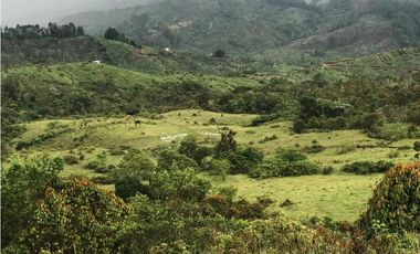 VENTA FINCA, TMESIS RO FRO - SUROESTE ANTIOQUEÑO