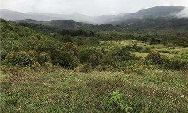 VENTA FINCA, TMESIS RO FRO - SUROESTE ANTIOQUEÑO