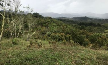 VENTA FINCA, TMESIS RO FRO - SUROESTE ANTIOQUEÑO