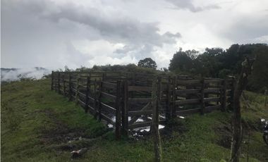 VENTA FINCA, TMESIS RO FRO - SUROESTE ANTIOQUEÑO