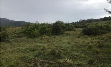 VENTA FINCA, TMESIS RO FRO - SUROESTE ANTIOQUEÑO