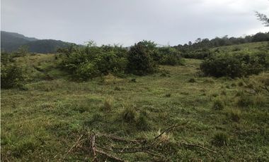 VENTA FINCA, TMESIS RO FRO - SUROESTE ANTIOQUEÑO