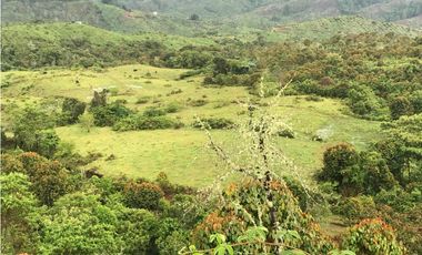 VENTA FINCA, TMESIS RO FRO - SUROESTE ANTIOQUEÑO