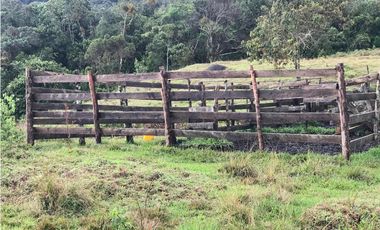 VENTA FINCA, TMESIS RO FRO - SUROESTE ANTIOQUEÑO