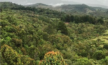 VENTA FINCA, TMESIS RO FRO - SUROESTE ANTIOQUEÑO