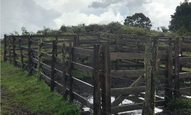 VENTA FINCA, TMESIS RO FRO - SUROESTE ANTIOQUEÑO